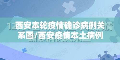 西安本轮疫情确诊病例关系图/西安疫情本土病例