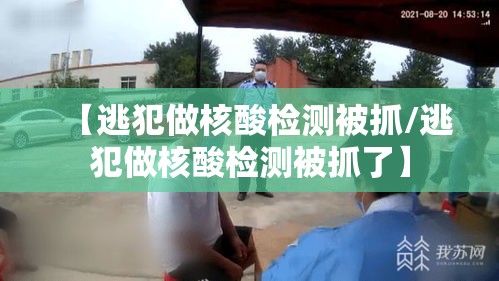 【逃犯做核酸检测被抓/逃犯做核酸检测被抓了】