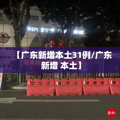 【广东新增本土31例/广东 新增 本土】
