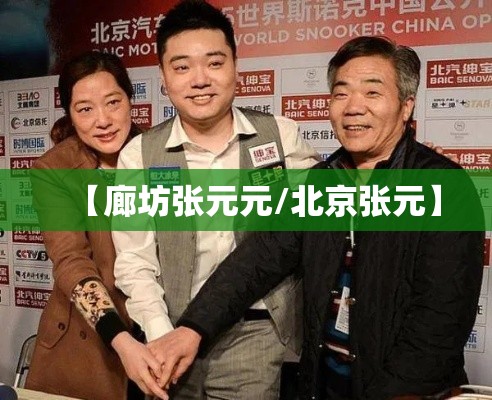 【廊坊张元元/北京张元】