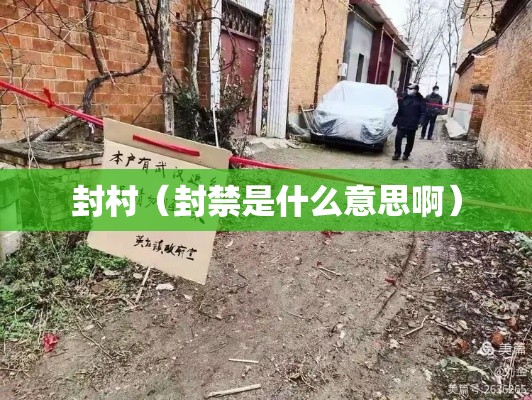 封村（封禁是什么意思啊）