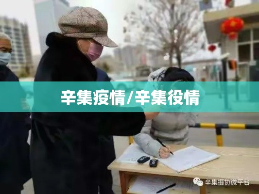 辛集疫情/辛集役情