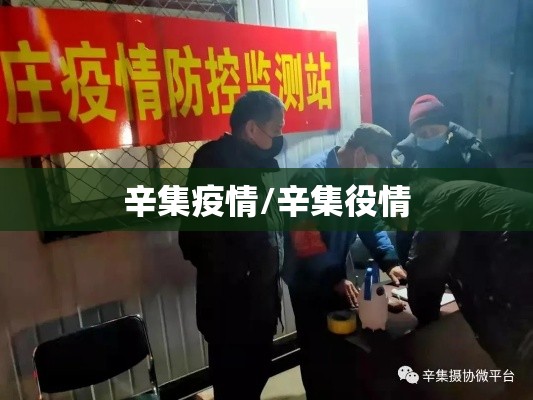 辛集疫情/辛集役情 辛集疫情/辛集役情