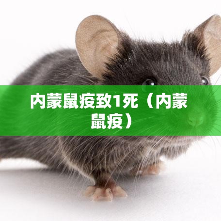 河北新增本土确诊51例/河北新增本土确诊病例 河北新增本土确诊51例/河北新增本土确诊病例