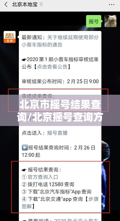 北京市摇号结果查询/北京摇号查询方式