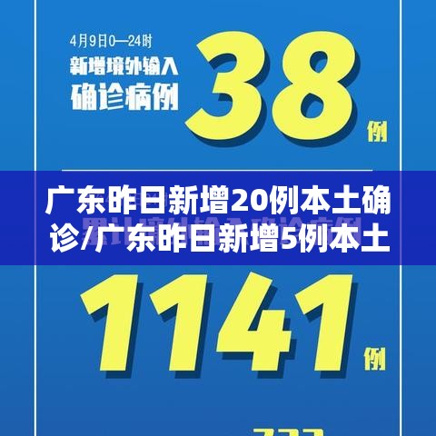 必看教程金雀汇究竟怎么开挂真的有挂