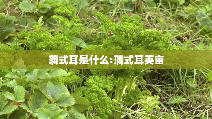 教程开挂辅助“ 如何在微乐麻将打赢	”(原来真的有挂)