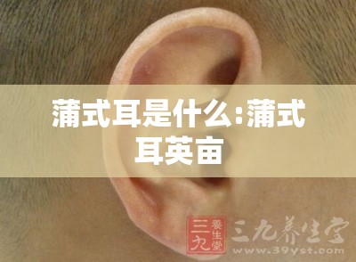 蒲式耳是什么:蒲式耳英亩 蒲式耳是什么:蒲式耳英亩