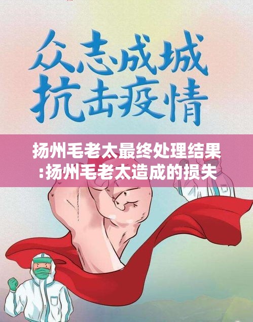 扬州毛老太最终处理结果:扬州毛老太造成的损失