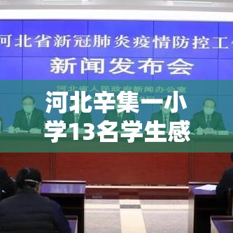 河北辛集一小学13名学生感染/辛集一小学校