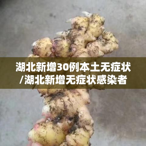 湖北新增30例本土无症状/湖北新增无症状感染者9例,现有确诊病例6例