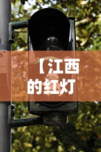 31省连续5日无本土新增（31省连续一周无本土新增）