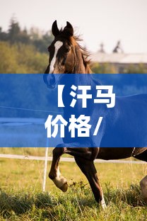 【汗马价格/汗马价格是多少】 【汗马价格/汗马价格是多少】