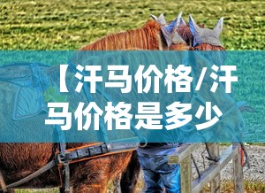 辅助教程“!四川蜀山麻将怎么提高胜率”其实确实有挂