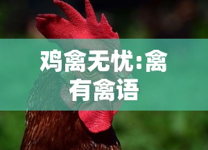 鸡禽无忧:禽有禽语 鸡禽无忧:禽有禽语