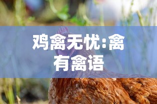 鸡禽无忧:禽有禽语 鸡禽无忧:禽有禽语