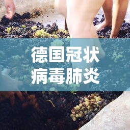 德国冠状病毒肺炎/德国冠状病毒肺炎死亡人数