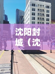 沈阳封城（沈阳封城抢东西菜）