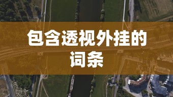 包含透视外挂的词条