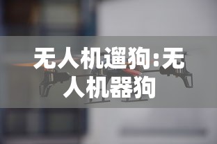 无人机遛狗:无人机器狗