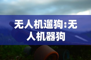 无人机遛狗:无人机器狗