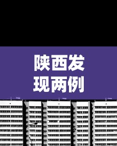 经验总结微乐贵州麻将有没有辅助工具事实上真的有挂