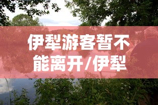 伊犁游客暂不能离开/伊犁不接待云南游客 伊犁游客暂不能离开/伊犁不接待云南游客