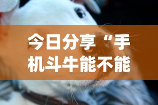 今日分享“手机斗牛能不能开挂”(透视)其实确实有挂