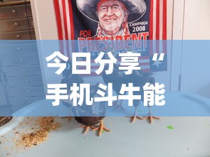 分享实测盼盼十三水辅助器(确实有挂)