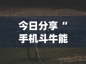 今日分享“手机斗牛能不能开挂”(透视)其实确实有挂