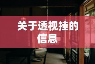 关于透视挂的信息 关于透视挂的信息