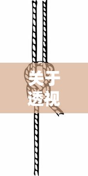 关于透视挂的信息 关于透视挂的信息
