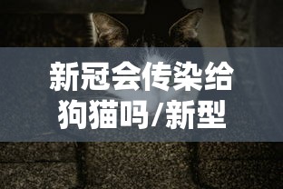 新冠会传染给狗猫吗/新型冠状病毒会传染给小猫小狗 新冠会传染给狗猫吗/新型冠状病毒会传染给小猫小狗