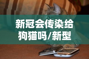 新冠会传染给狗猫吗/新型冠状病毒会传染给小猫小狗 新冠会传染给狗猫吗/新型冠状病毒会传染给小猫小狗