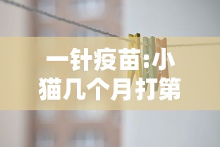 一针疫苗:小猫几个月打第一针疫苗 一针疫苗:小猫几个月打第一针疫苗