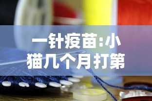 实测神器辅助“微乐四川麻将怎么打会赢”的确是有挂