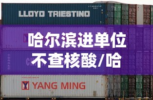 哈尔滨进单位不查核酸/哈尔滨全员核酸检测不去行吗