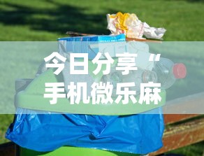 玩家实测“辅助正版是真的吗”其实确实有挂