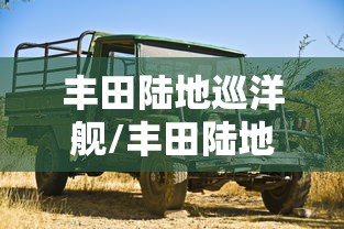 丰田陆地巡洋舰/丰田陆地巡洋舰2027款