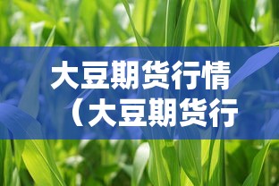大豆期货行情（大豆期货行情最新消息）