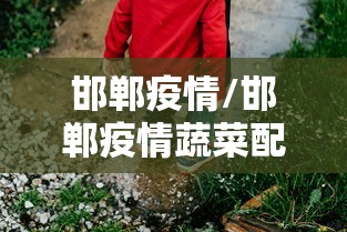 邯郸疫情/邯郸疫情蔬菜配送情况