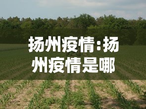 扬州疫情:扬州疫情是哪一年开始的
