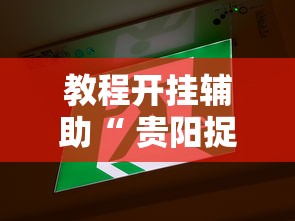 教程开挂辅助“ 贵阳捉鸡麻将微乐麻将下载微乐	”的确是有挂