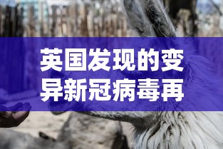 英国发现的变异新冠病毒再次突变(英国发现的变异新冠病毒再次突变了吗) 英国发现的变异新冠病毒再次突变(英国发现的变异新冠病毒再次突变了吗)