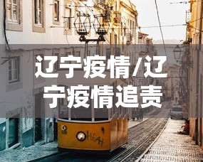 辽宁疫情/辽宁疫情追责领导