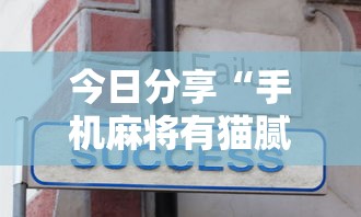 今日分享“手机麻将有猫腻吗	”的确是有挂