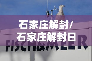 石家庄解封/石家庄解封日期