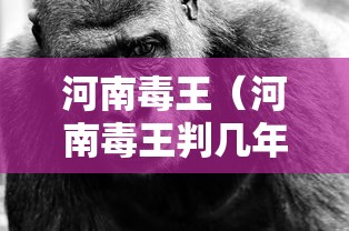 河南毒王（河南毒王判几年）