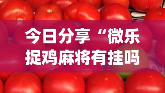 今日分享“微乐捉鸡麻将有挂吗？”(原来真的有挂)