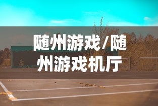 随州游戏/随州游戏机厅